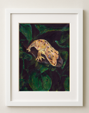  Crested Gecko Art Print