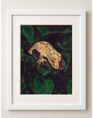  Crested Gecko Art Print