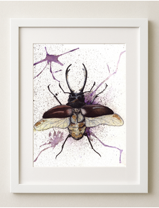  Beetle Art Print