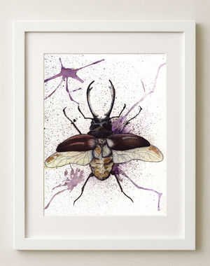  Beetle Art Print