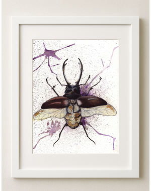  Beetle Art Print