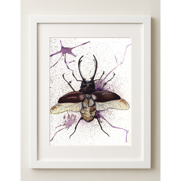 Leaky Inkwell Beetle Art Print