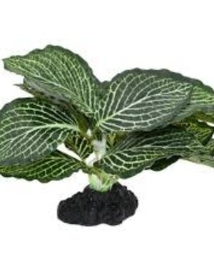 Komodo Products Komodo standing Vein Plant 4"