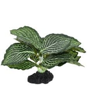 Komodo Products Komodo standing Vein Plant 4"