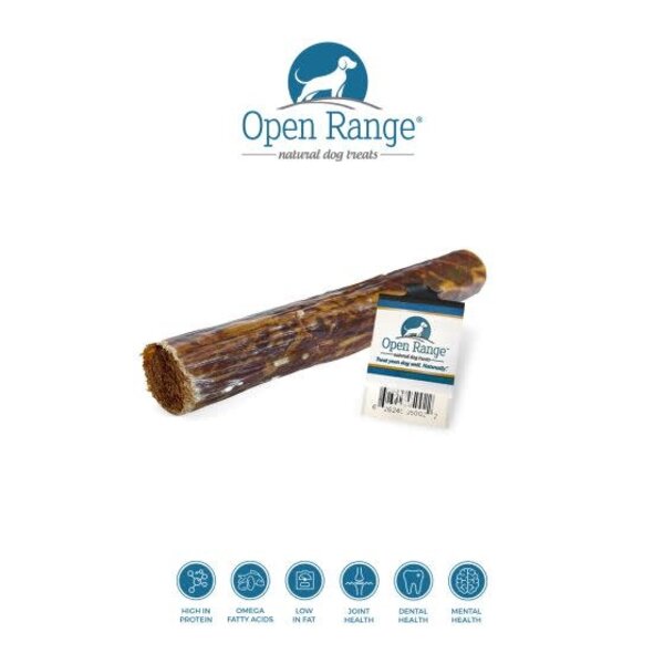 Open Range Open Range  Bully Chomper Stuffed