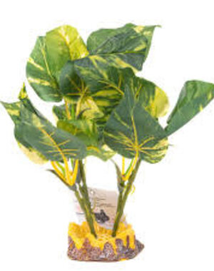 Aqua Globe Aquaglobe Aureum 10"