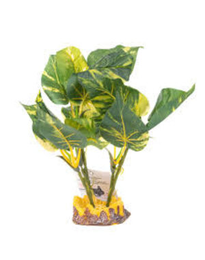 Aqua Globe Aquaglobe Aureum 10"