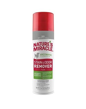 Natures Miracle Nature's Miracle Stain And Odour Removeer -Foam 496g