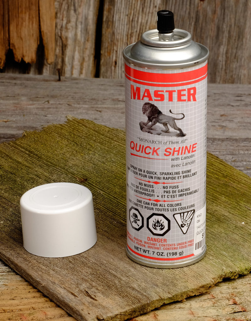 Master Quick Shine Spray - Boyer's 