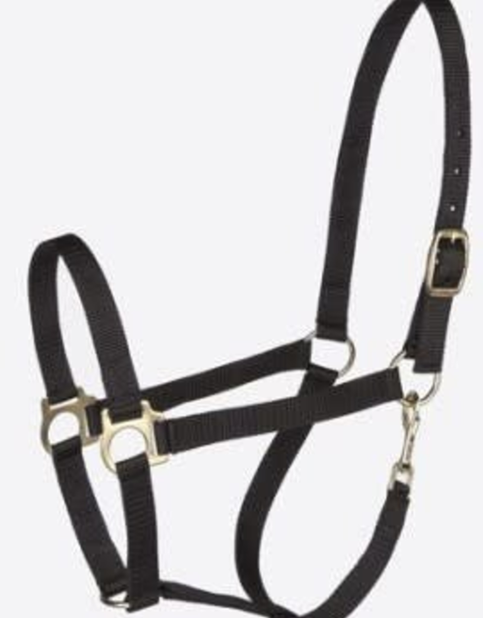 Millstone Economy Halter - Nylon