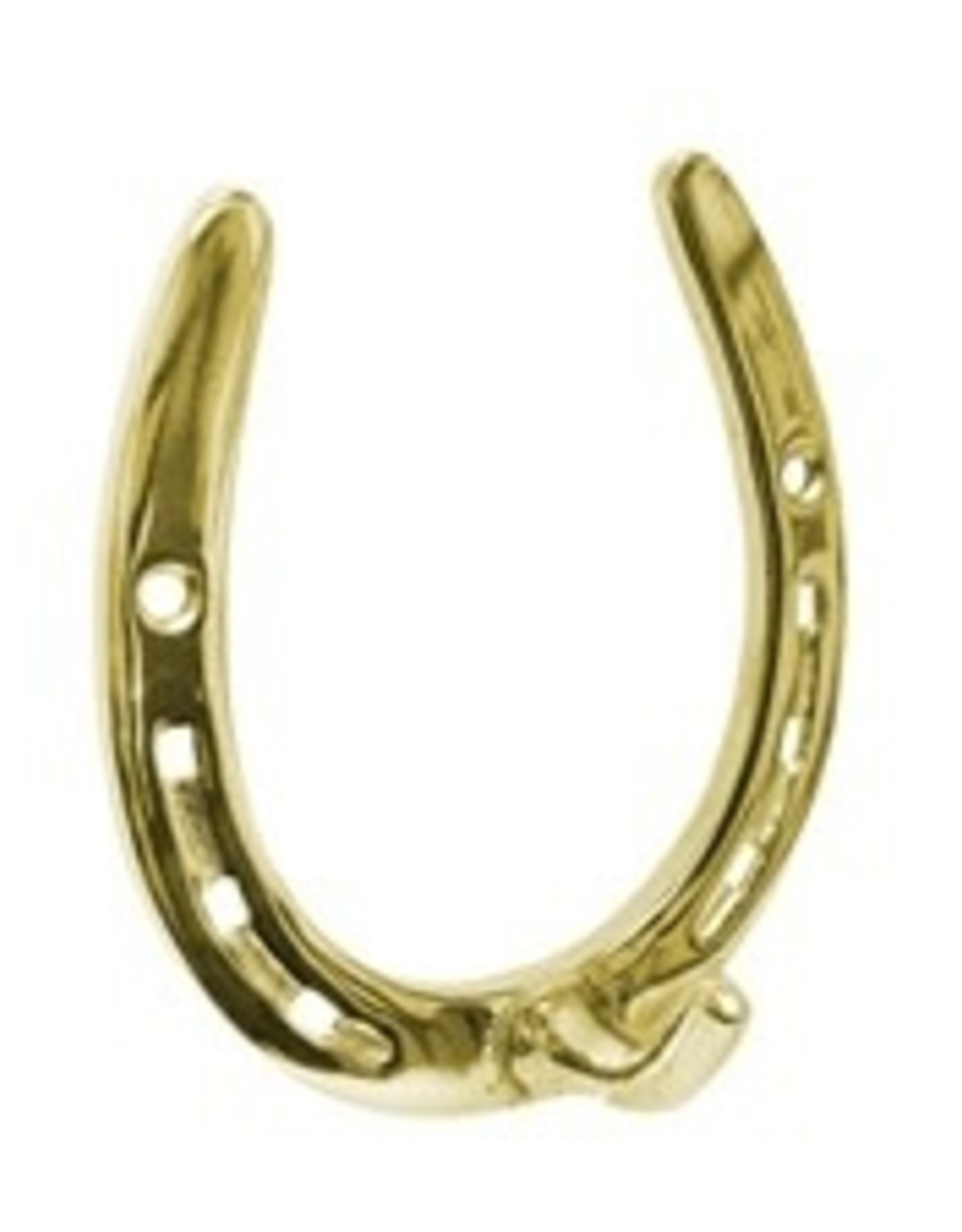 Horse Shoe Brass Hook
