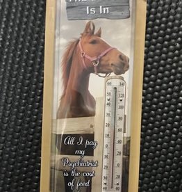 The Dr is in Thermometer