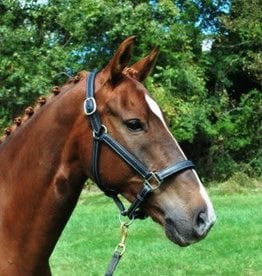 RED BARN Halter Grace Calf Lined