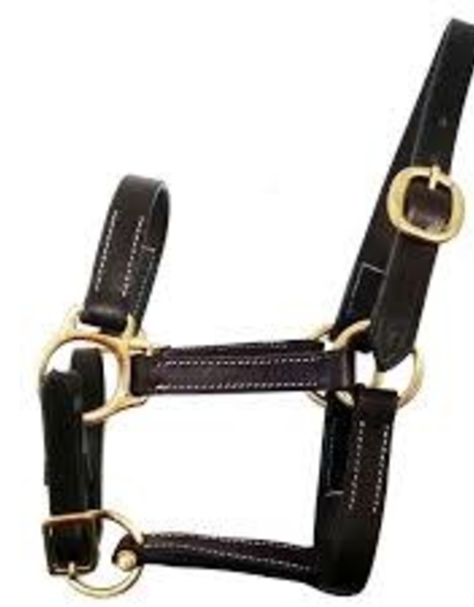 Leather Halter Gatsby No Snap Horse