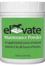 Elevate Powder Maintenance 2lb