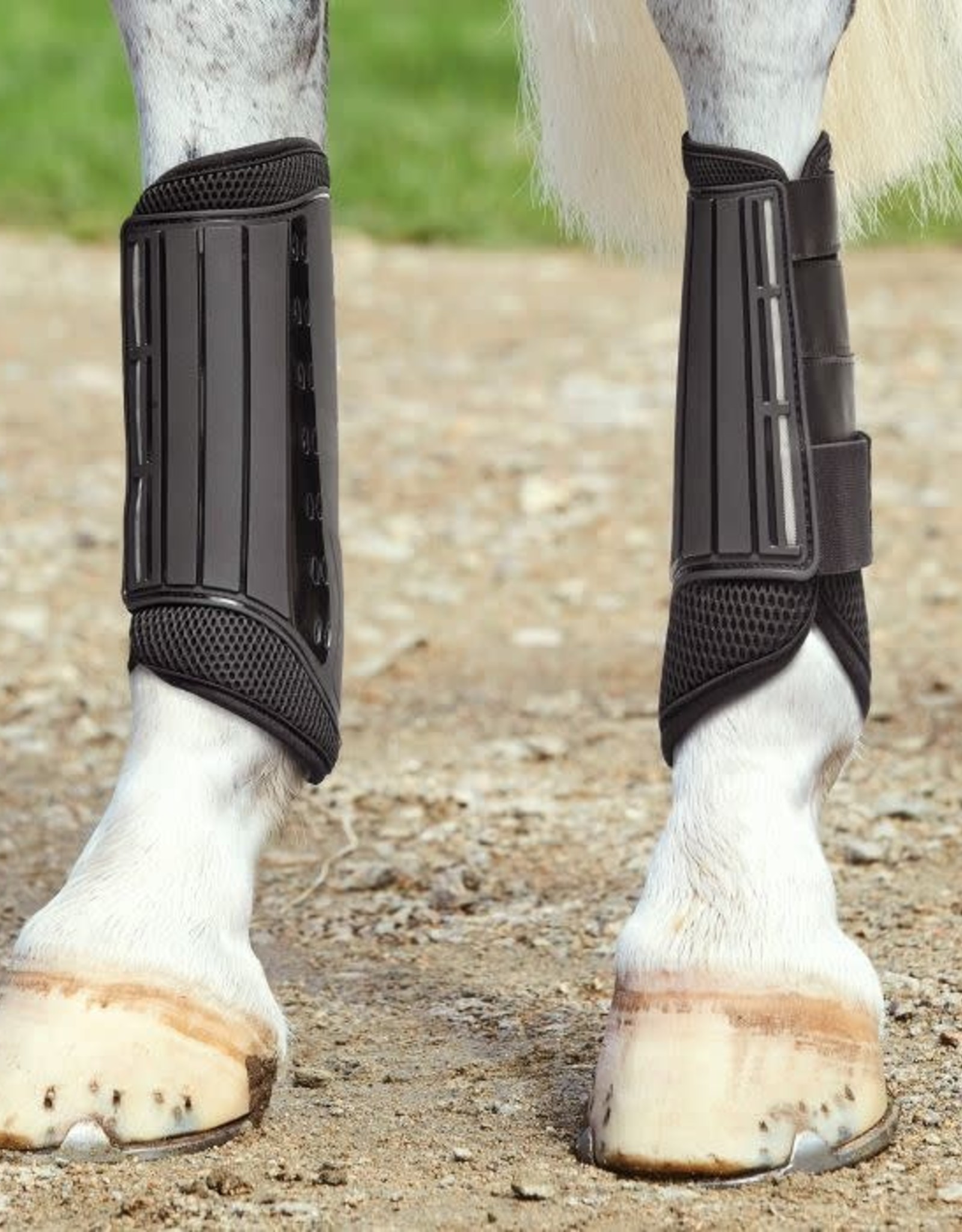 Eventing Boots WB - Toll Booth Saddle Shop
