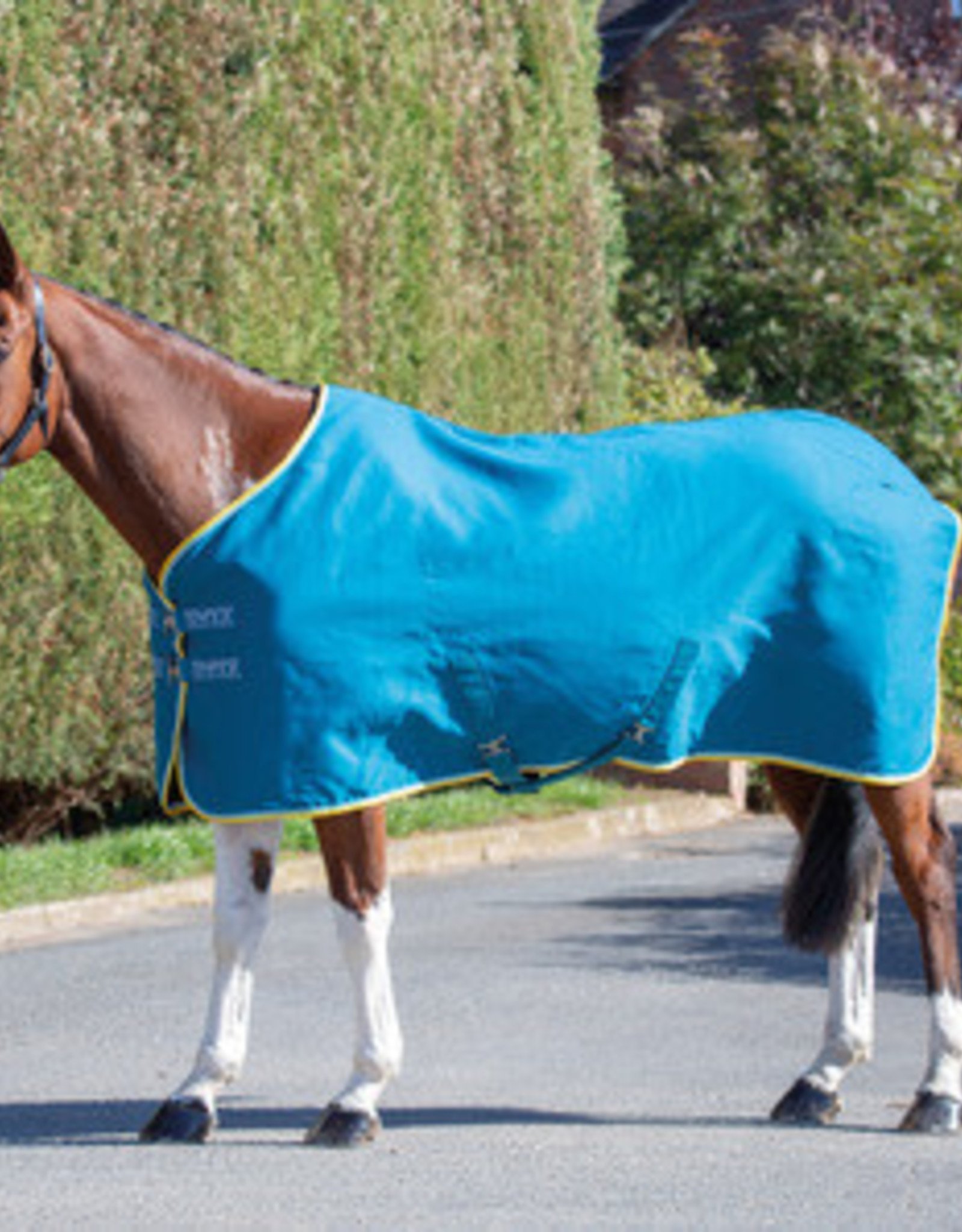 SHIRES Tempest Original Stable Sheet