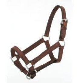 Western leather halter tooled with silver horse sz - Toll Booth