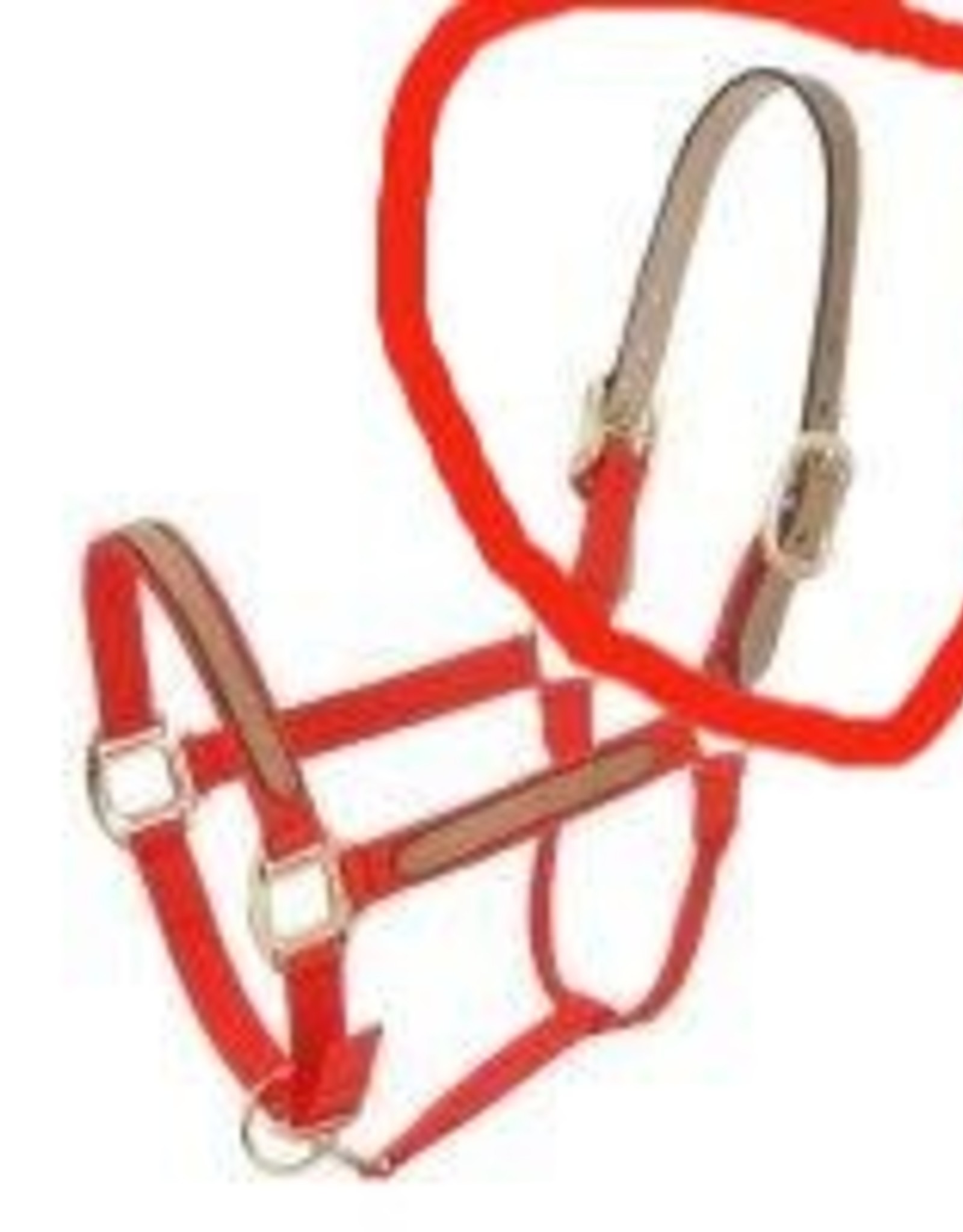 Double Ply Leather Crown Strap for halter