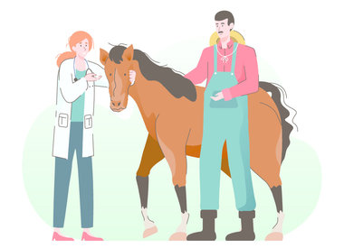 Horse Health