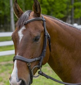 Pro Anatomical Bridle