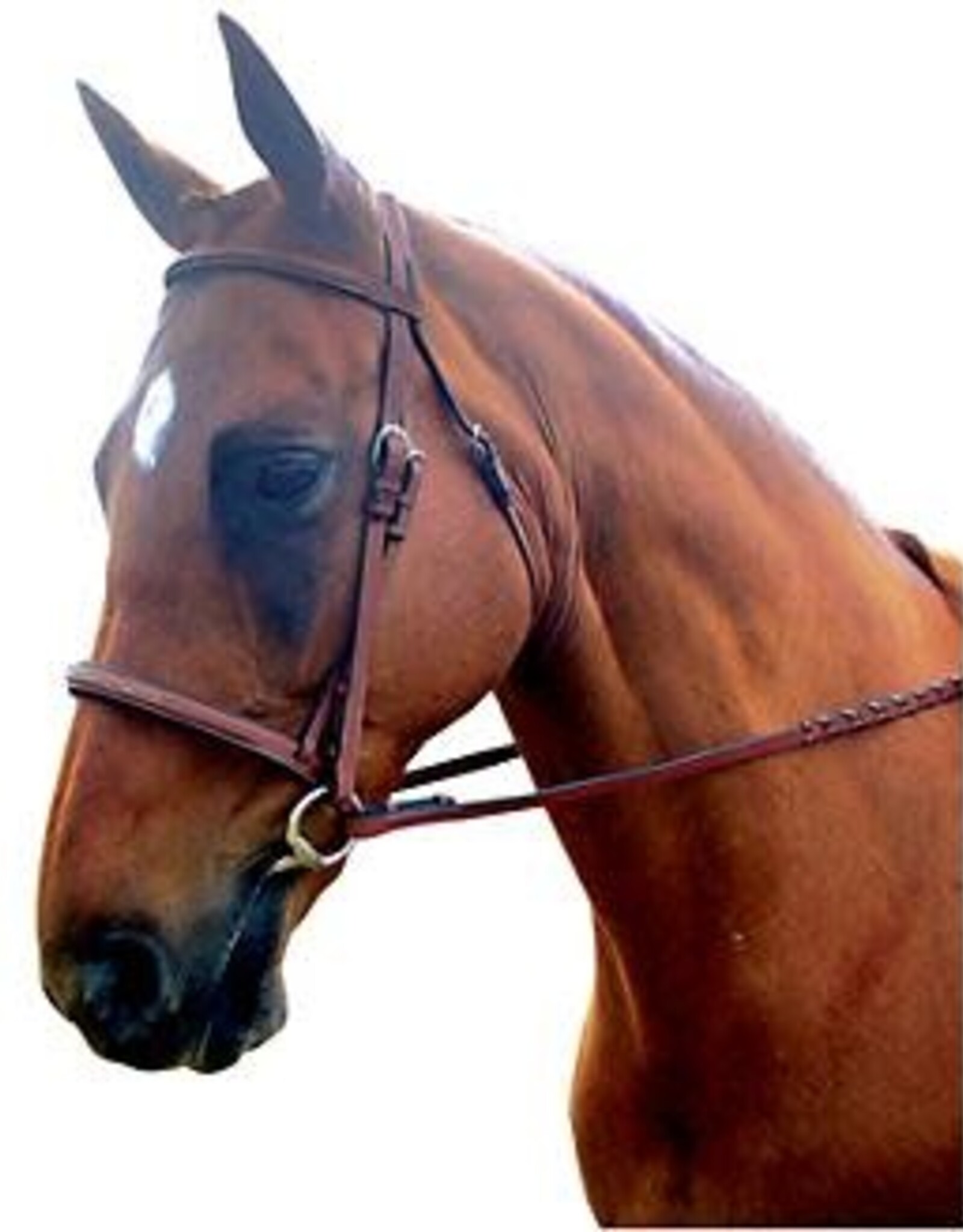 Raised Padded Fancy Stitched Bridle