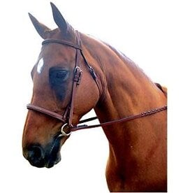 Raised Padded Fancy Stitched Bridle