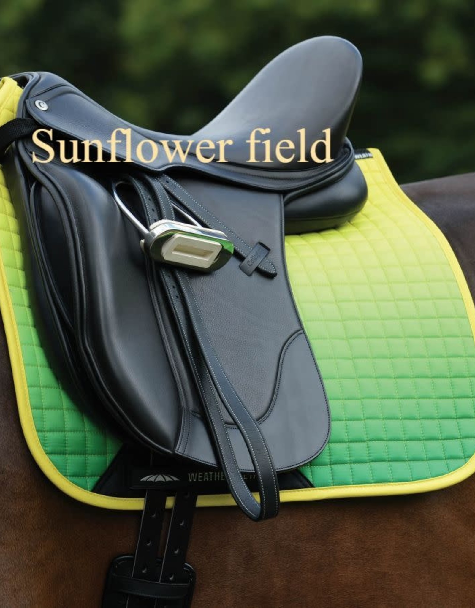 Saddle Pad Ombre Dressage