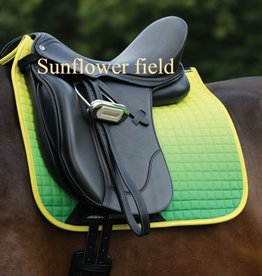 Saddle Pad Ombre Dressage