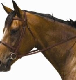 Padded Plain Raised Bridle