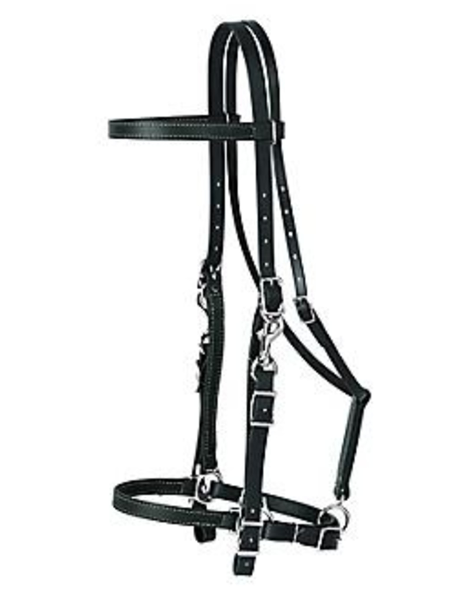 Weaver Leather Trail Gear Halter/Bridle Combo