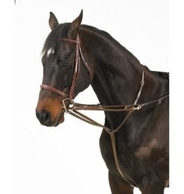 Camelot German Martingale Rein