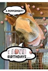Horse Hollow Press Birthday Card: A Peppermint? I LOVE Birthdays!