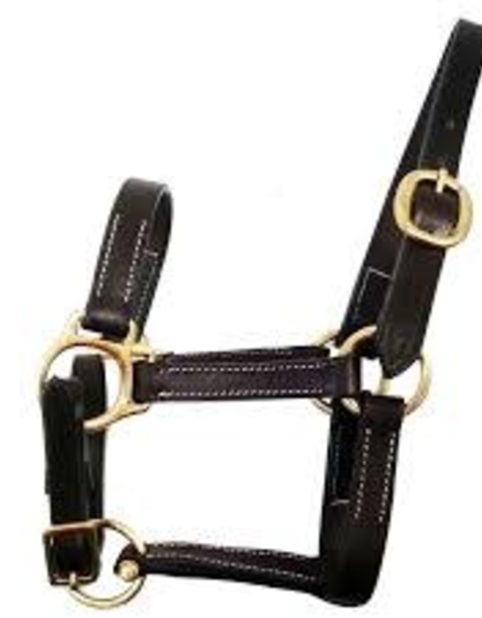 Leather Halter Gatsby No Snap Yearling