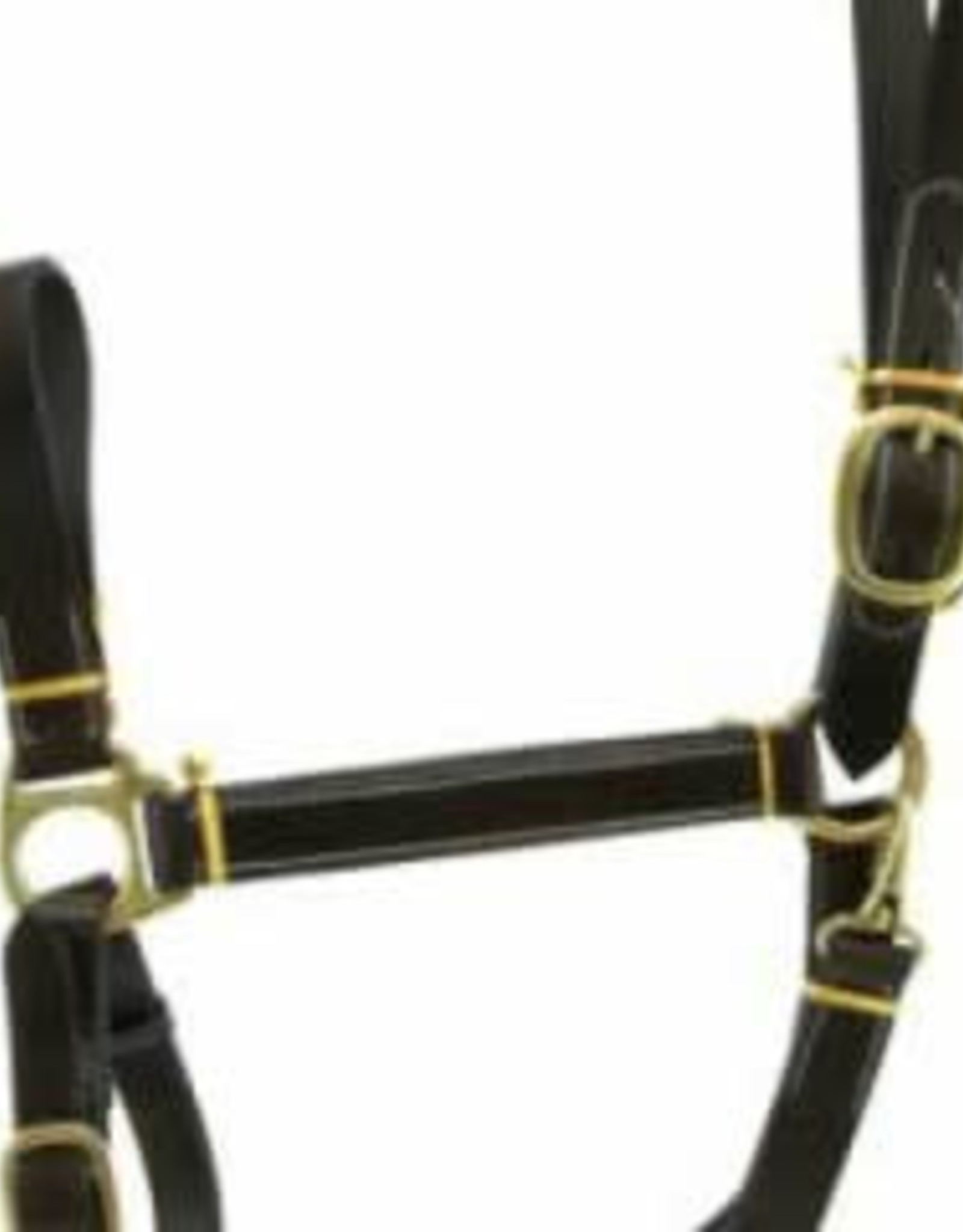 Gatsby Stable Halter with Snap