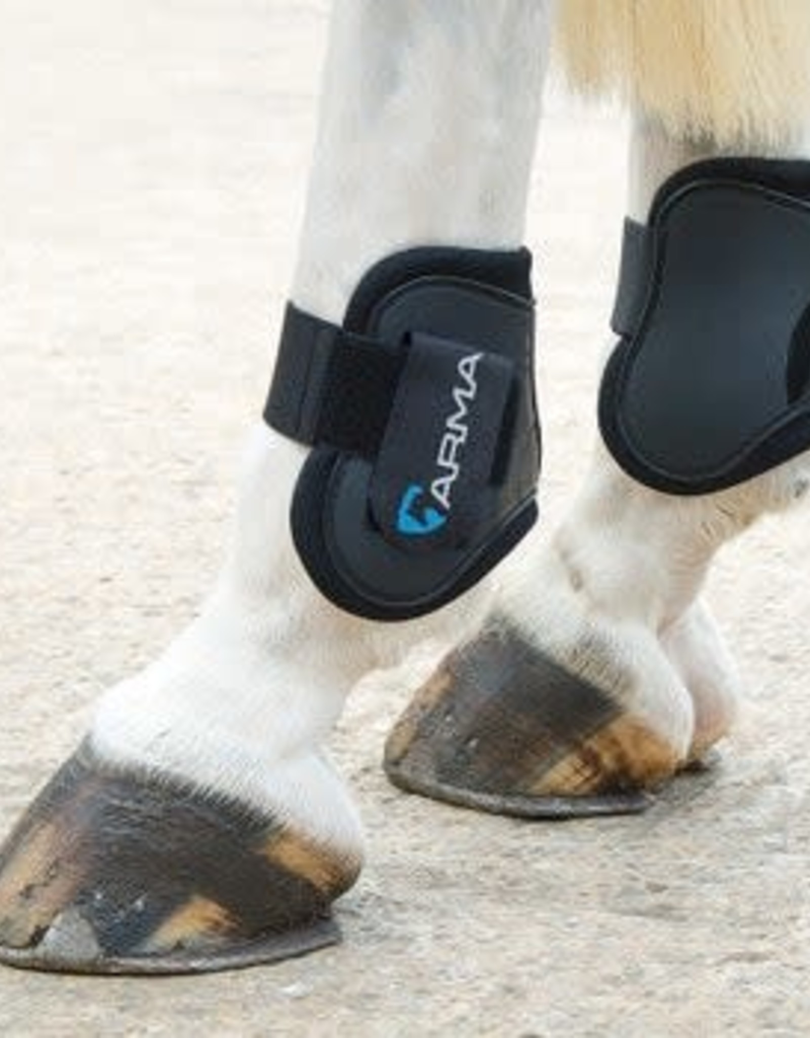 SHIRES Arma Fetlock Boots