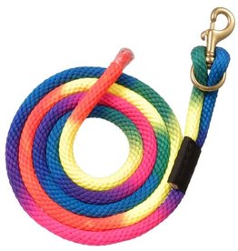 Tough 1 Nylon Rainbow Lead with Replaceable Bolt Snap
