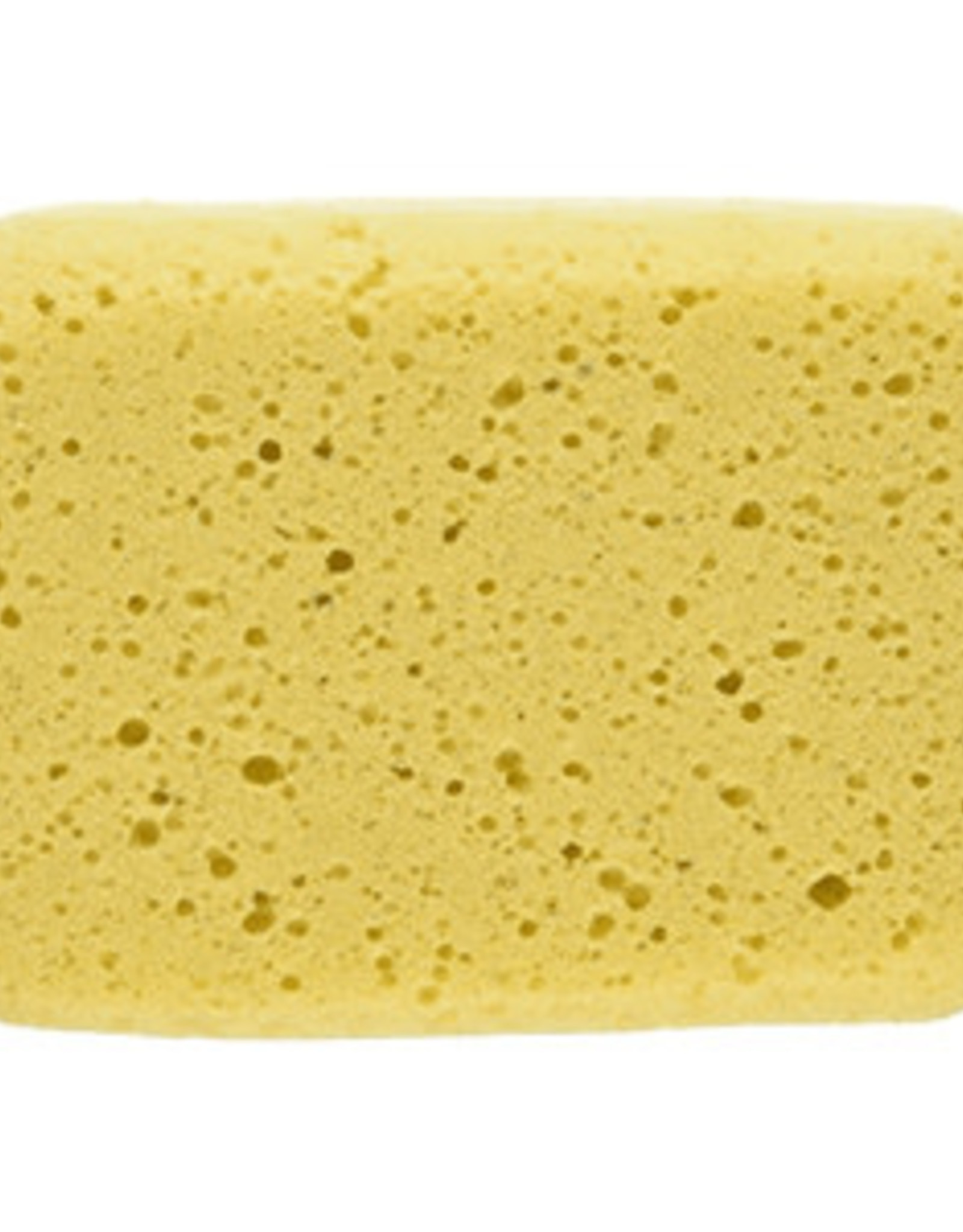 Hydra Wash Sponge