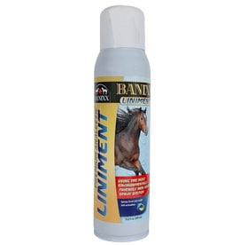 Banixx Premium Analgesic Liniment (13.2oz)