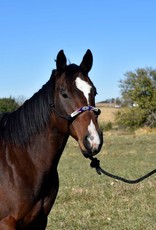 Beaded Nose Band Rope Halter