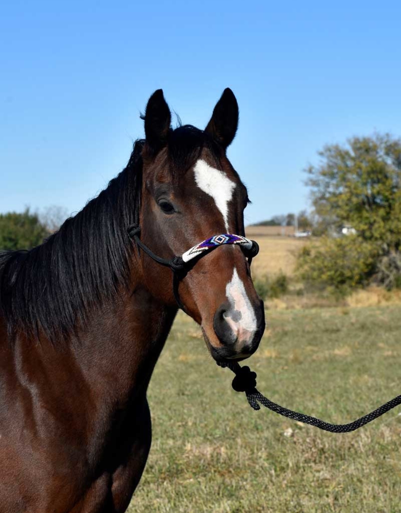 Beaded Nose Band Rope Halter