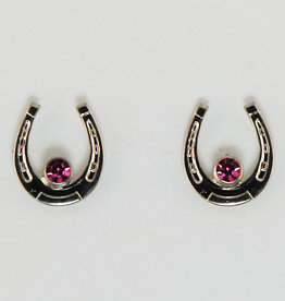 HORSE SHOE WITH STONE EARRING-I