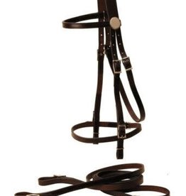 Tory Western Headstall Leather Filling