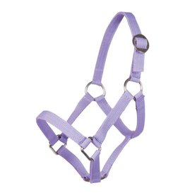 HKM Halter for Miniature horse