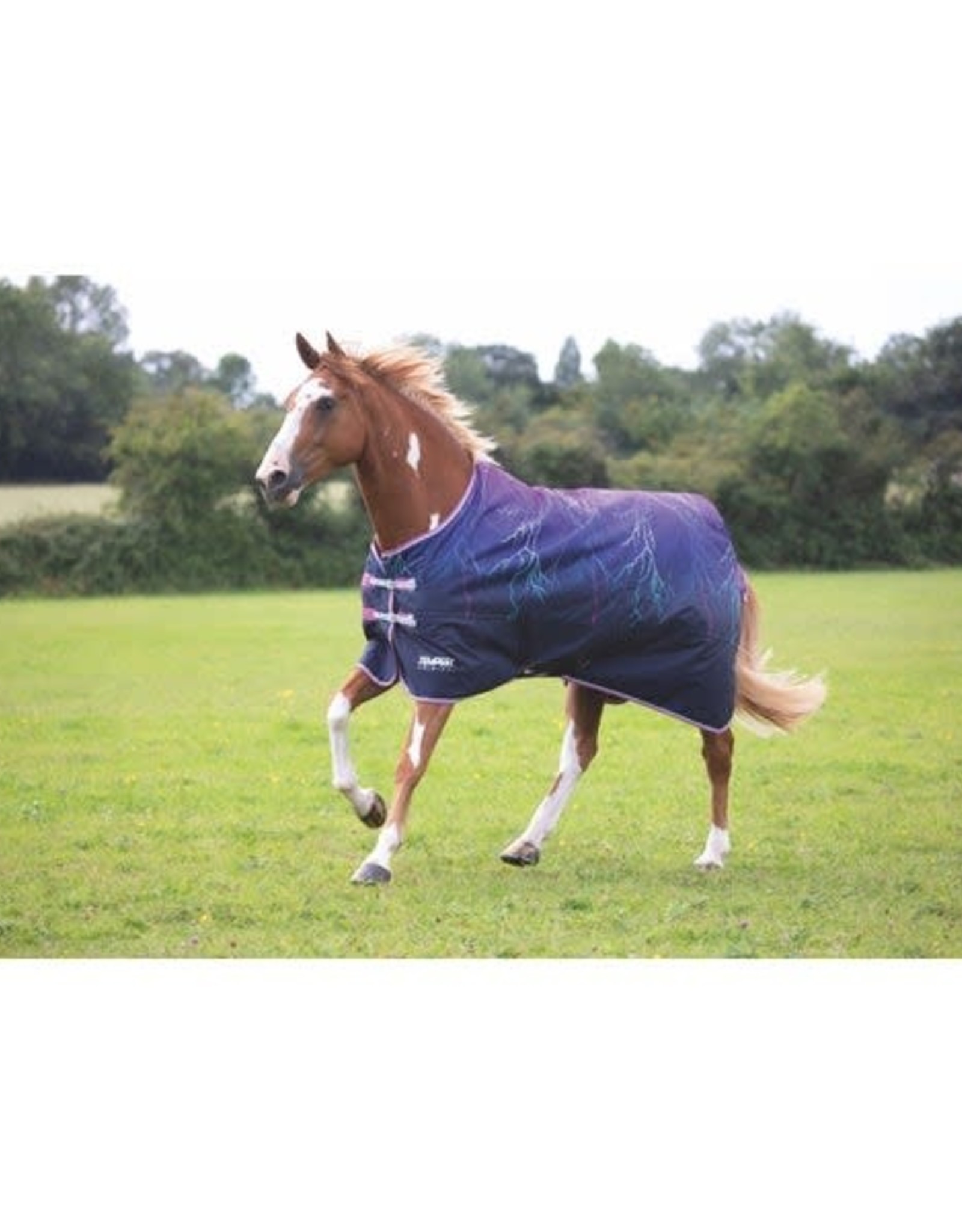 Tempest Original Lite Turnout Rug