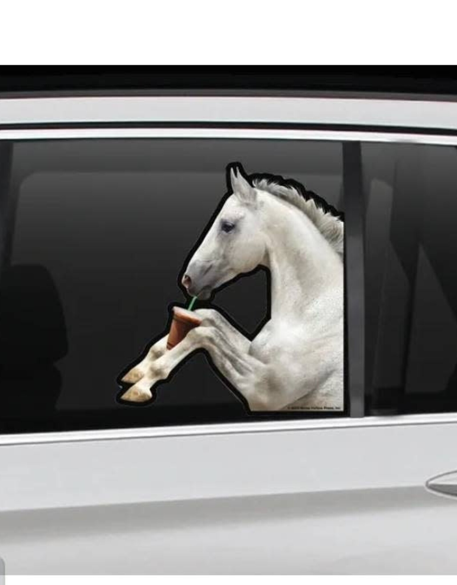 Horse Hollow Press Horse in Backseat Drinking Coffee Die-Cut Sticker