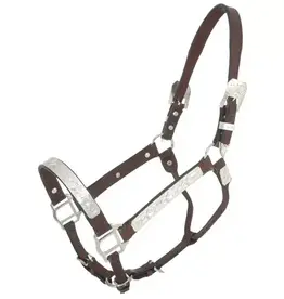 Western leather halter tooled with silver horse sz - Toll Booth