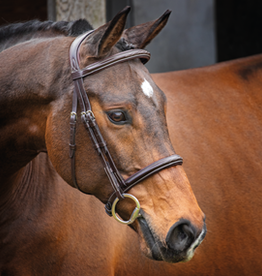 Lusso Lusso Hunter Cavesson Bridle