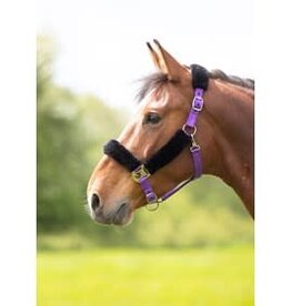 Fleece Lined Headcollar w/ Breakaway