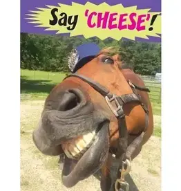 Horse Hollow Press Say Cheese birthday card